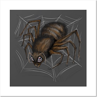 Spider Webs Posters and Art